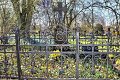 Fruehling2012   057